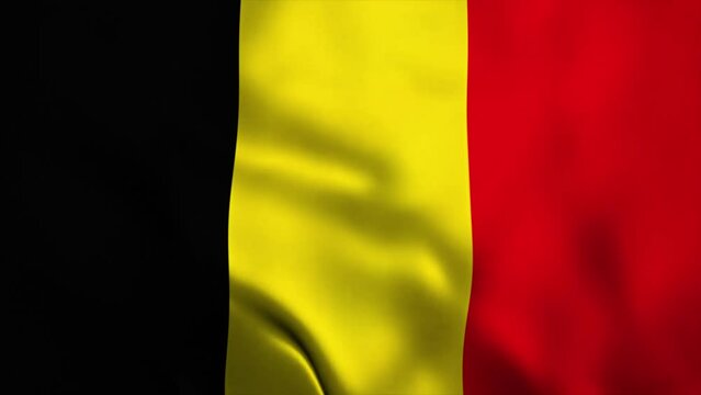 animation video flag independen day of belgium