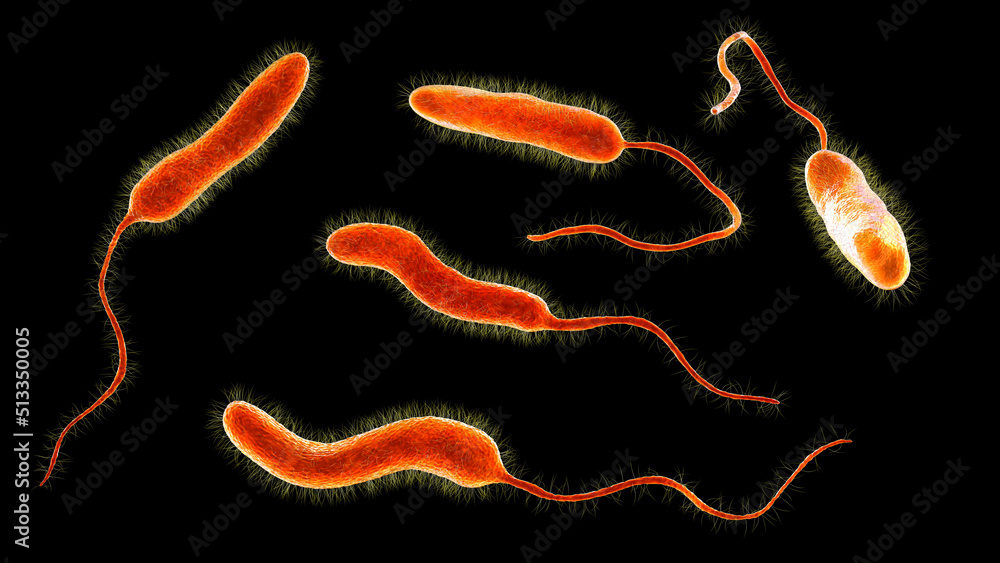 Sticker vibrio cholerae bacteria, 3d illustration