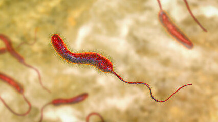 Vibrio cholerae bacteria, 3D illustration