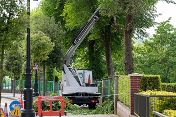 Seasonal tree pruning with a lifting work platform of hydraulic car crane
