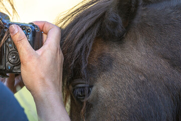Close-up of a person photographing a horse
