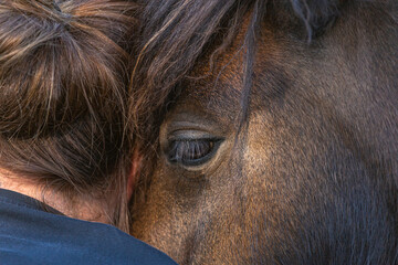 Portrait of a horse cuddling with a woman. Emotional equestrian bonding team secene between horse...