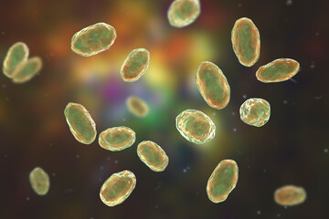 Yersinia enterocolitica bacteria, 3D illustration