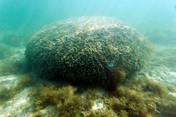 View of lagoon in the sea