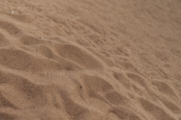 closeup shot of sand on a beach