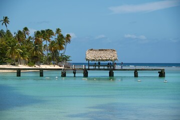 View of the turquoise sea with a dock against the background of the beach with palm trees.