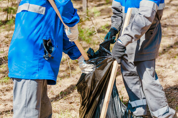 Two volunteers in work overalls and gloves collect garbage in forest in plastic bag. Close-up during action. Cleaning of nature from waste. Environmental assistance. Garbage collection in forest