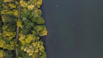 lake and forest view. Landscape and ducks with drone