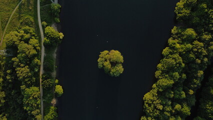 lake and forest view. Landscape and ducks with drone