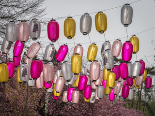 lampions pour la fête Sakura au parc de Sceaux près de Paris