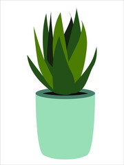 Home plant in a pot for interior decoration in illustration