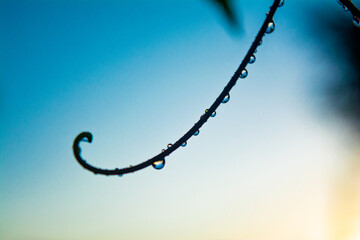 blue sky background
