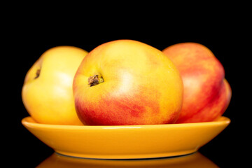 Three sweet organic nectarines on a yellow ceramic saucer, close-up isolated on a black background.