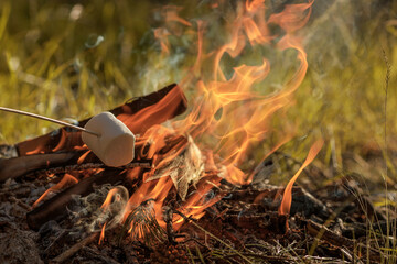 Roasting marshmallow on skewer over the bonfire in forest. The concept of adventure, travel,...