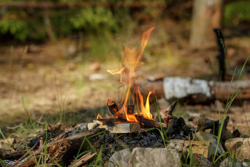 Close up of burning timber bonfire in summer forest..The concept of adventure, travel, tourism, camping, survival and evacuation.