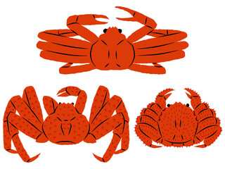 蟹のイラストセット｜ズワイガニ・タラバガニ・毛ガニ｜ベクター