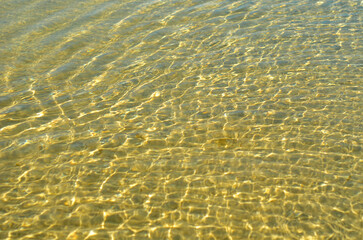 Fototapeta na wymiar Lake sand bottom texture with clean yellow water .Lake water background with small waves and reflection of the sun. 