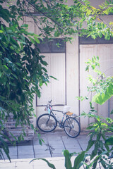Fototapeta na wymiar old bicycle, looking through the bushes