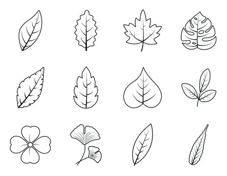 Leaf outline icons set on white background.