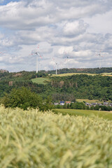 Windr&auml;der in der Natur