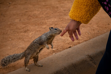 To touchy with the bravery