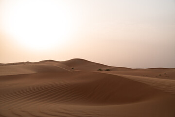 Fototapeta na wymiar The infinite landscape of sand dunes in Al Wathba desert in Abu Dhabi, United Arab Emirates.