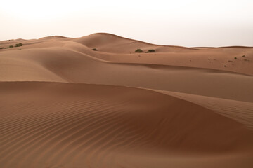 Fototapeta na wymiar The magical landscape of sand dunes in Al Wathba desert in Abu Dhabi, United Arab Emirates.