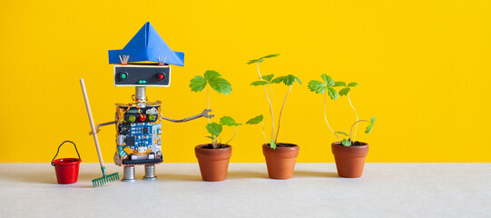Robot gardener with gardening tools. Funny toy bucket, rake and sprouts of wild strawberries in...