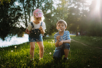 Cute little children blowing off dandelion seeds on sunset in park. Photo with backlight
