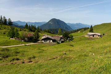 Fototapeta na wymiar Scheffau, Austria - June 18, 2022: Mountain pasture of Walleralm