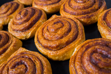Many baked orange cinnamon buns on tray in electric oven - close up view, selective focus. Homemade bakery, food, cooking and pastry concept