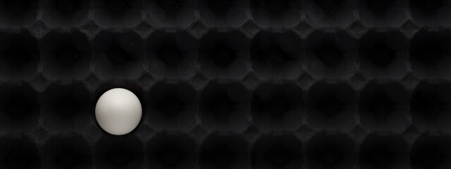 One white egg in a black egg carton. Contrast and difference concept. Black and white contrast.