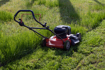 Naklejka na ściany i meble The grass in the yard is mowed with a lawn mower. Lawn mower on green grass
