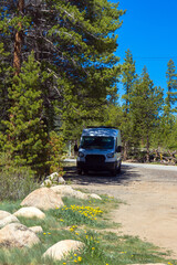 Fototapeta na wymiar Camper van in the shade high up in the Rocky Mountains of Colorado