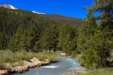 Fototapeta na wymiar The Snake River flows through White River National Forest in Colorado