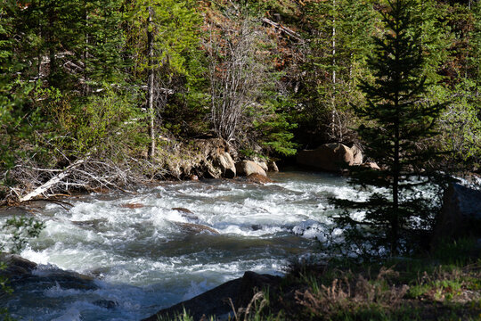 Whitewater rapids on the Snake River in White River National Forest in Colorado