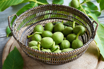 Fresh green unripe walnuts in a basket