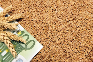 Wheat and one hundred euro paper money. Export, import of food base, harvest and crisis in the...
