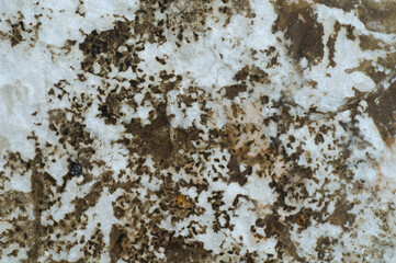 Very beautiful stone texture. Photo closeup top view. 
