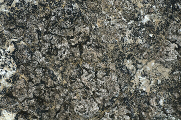texture background