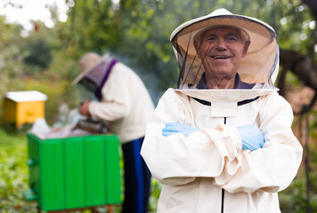 Beekeeper on apiary. Beekeeper is working with bees and beehives on apiary.