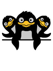 Lustige Pinguine 3 Freunde 