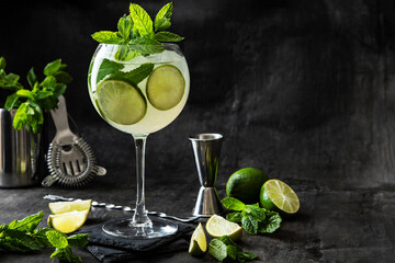 Citrus beverage with mint, summer cold drink