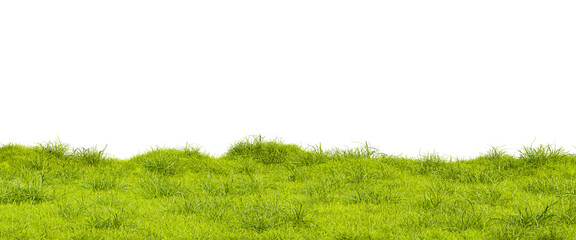 Fototapeta Green grass meadow isolated on white background. Grass lawn, 3d Render obraz