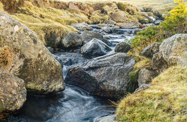 Stream of dark water with small cascades and rocks flowing through meadows covered in yellow grass 