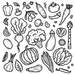 set of different vegetables from doodle elements vector illustration