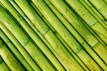 close up of the natural  bamboo texture background