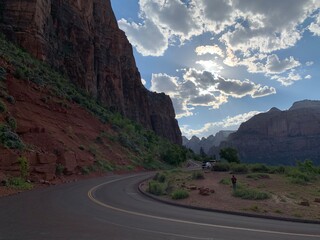Fototapeta premium zion national park