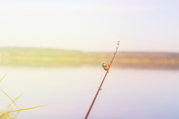 Fototapeta premium Silver bells for fishing, mounted on a feeder. signal when biting