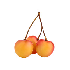 Sprig of ripe and juicy yellow red cherries isolated on white background, macro